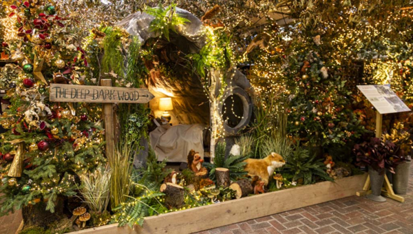 Photo by GAP Photography