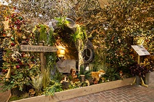 Christmas Display