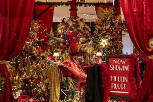 Christmas Display