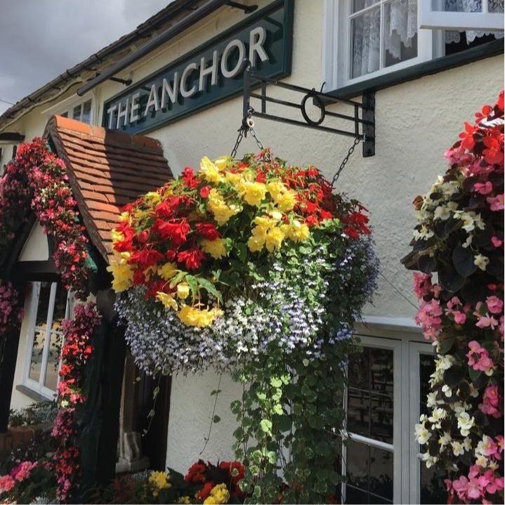 The Anchor