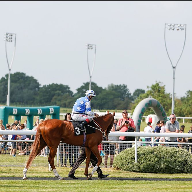 Chelmsford City Racecourse