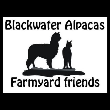 Blackwater Alpacas & Pygmy Goats