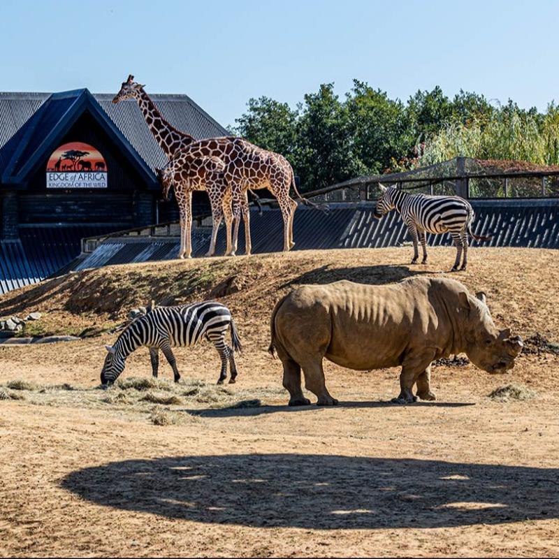 Colchester Zoo