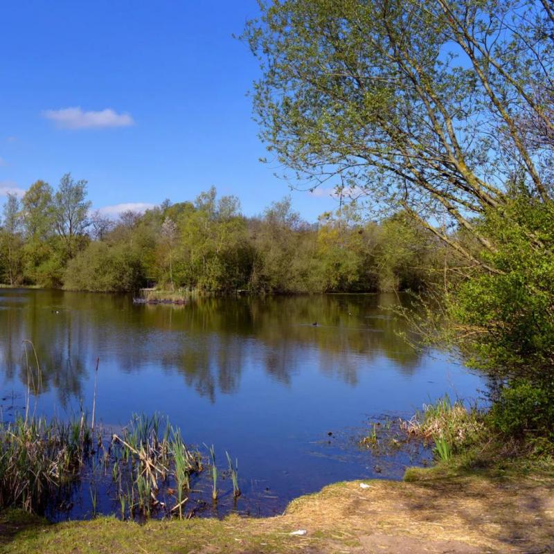 Belhus Woods Country Park