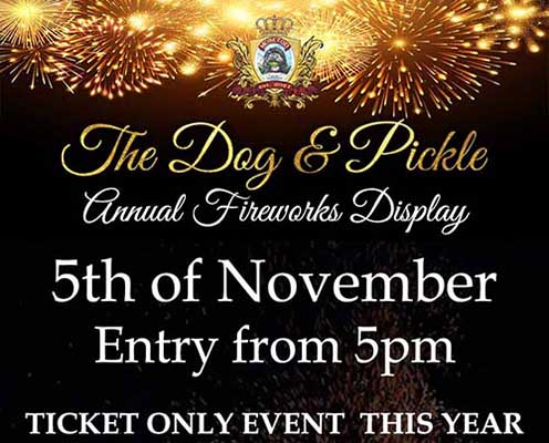 Annual Fireworks Display at The Dog and Pickle