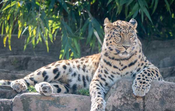 May Half Term at Colchester Zoo