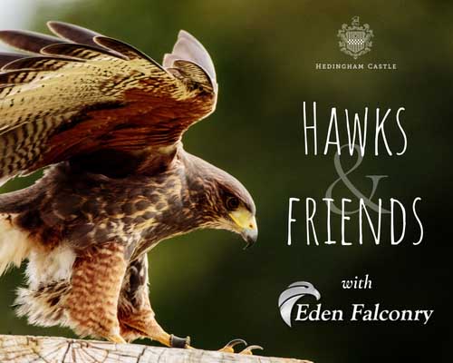 Hawks & Friends