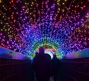 Enchanted - Trail of Light 2025