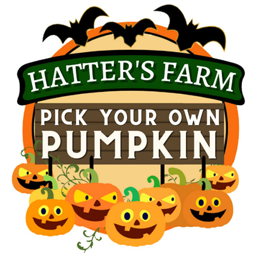 Hatter's Farm Pick Your Own Pumpkin
