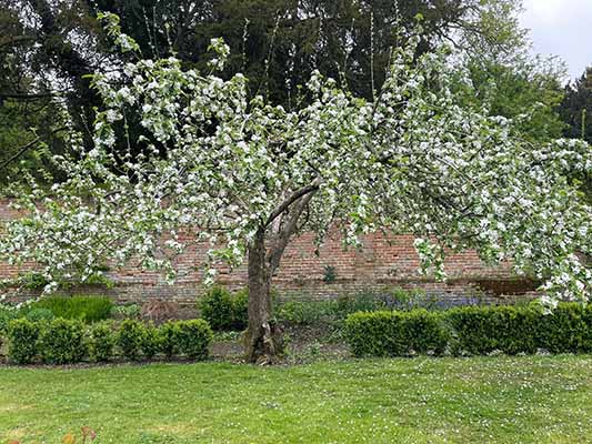 April Open Day: Springtime