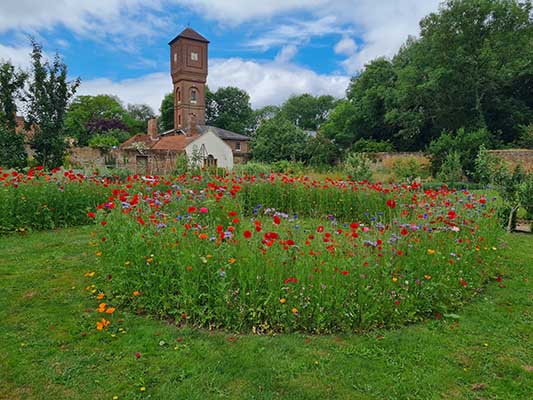 May Open Day: Nature in the Gardens