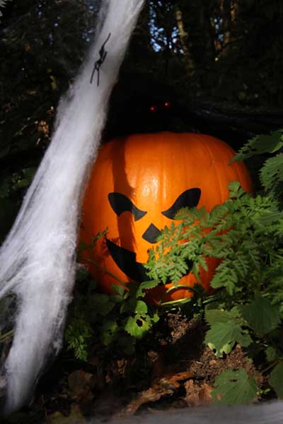 Danbury Autumn Craft Fair and Halloween Fun