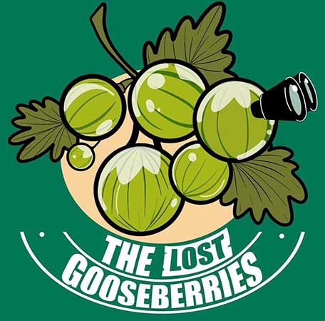 Live Music in the Vines with The Lost Gooseberries