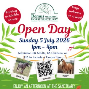 Open Day at Remus Horse Sanctuary