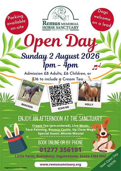 Open Day at Remus Horse Sanctuary