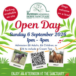 Open Day at Remus Horse Sanctuary