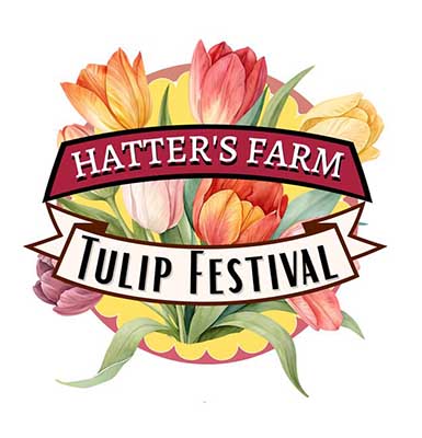 Hatter's Farm Tulip Festival