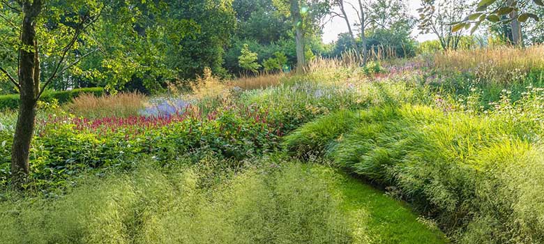 Photo credit: Jeremy Allen