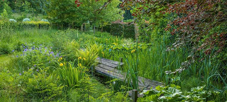 Photo credit: Jeremy Allen