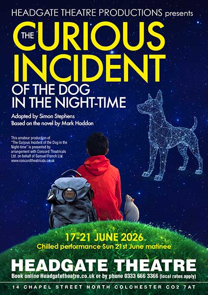 The Curious Incident Of The Dog In The Night-Time