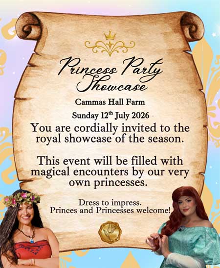 Princess Party