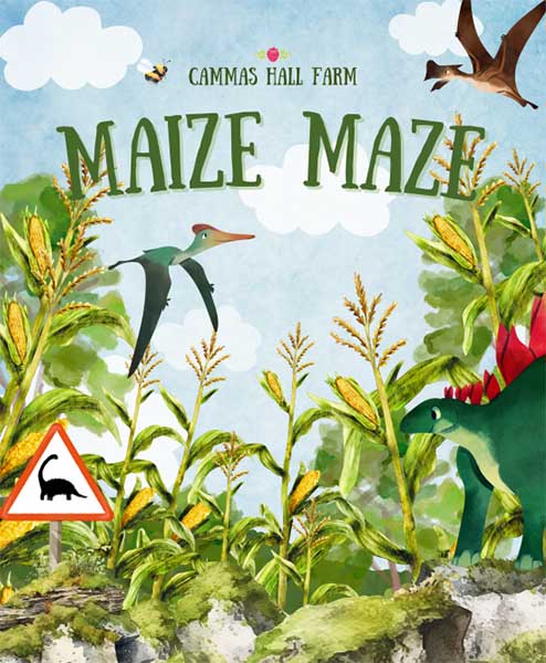 Maize Maze at Cammas Hall Farm