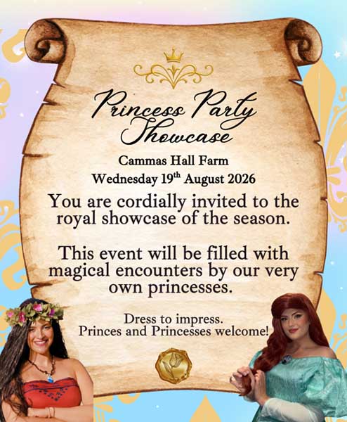 Princess Party