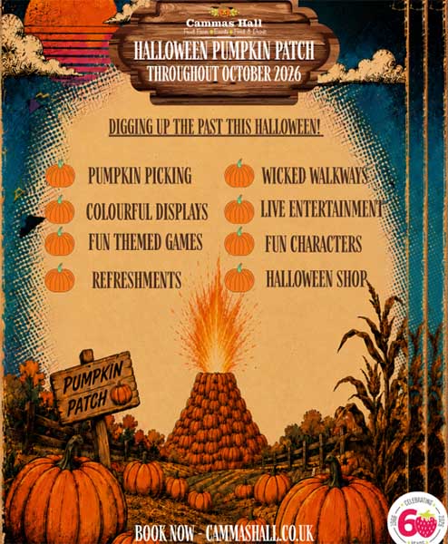 Halloween Pumpkin Patch