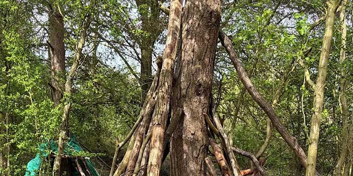 Fingringhoe: Welcome to the Stone Age