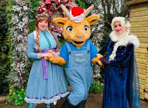 Christmas Markets at Barleylands