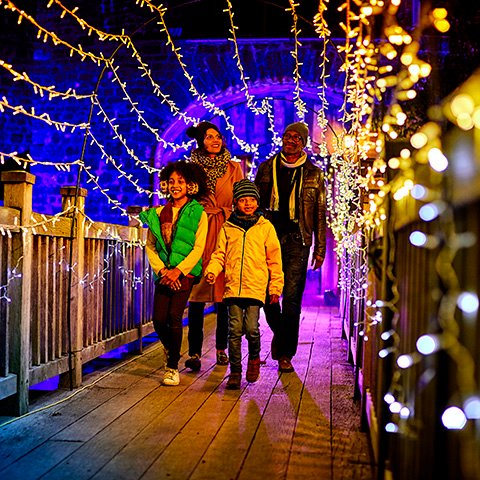 Enchanted Audley End
