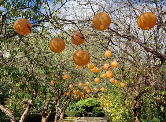 Halloween Spooktacular at Capel Manor Gardens