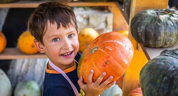 Pumpkin Week at Hasty's
