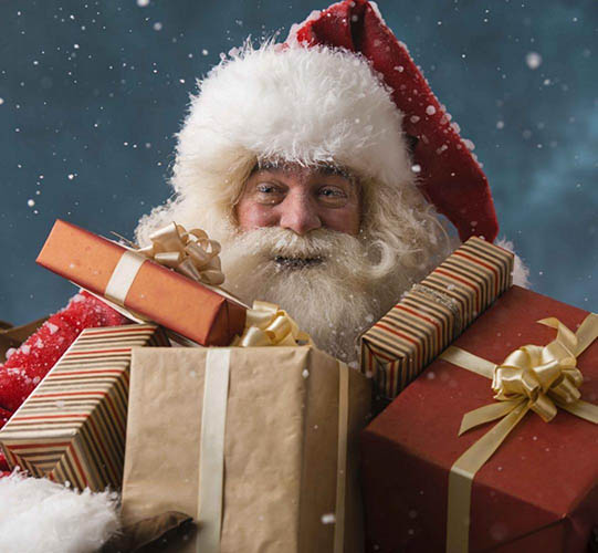 Magic of Christmas at Colchester Zoo